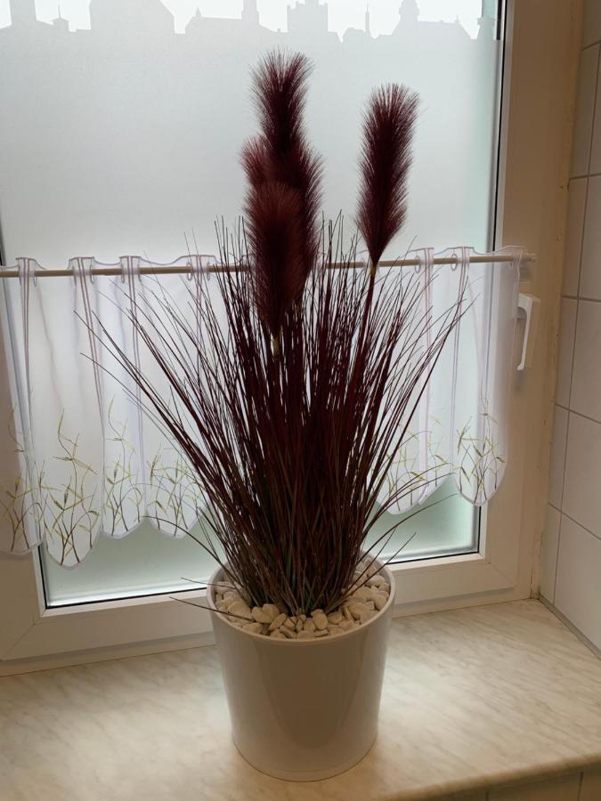 Best-Preis Fewo Rathausblick 2 - Zentrale Lage In Wittenberge - 2 Personen - Einzelzimmer - Vollausstattung - Wlan / Prime & Self-Check-In Екстер'єр фото